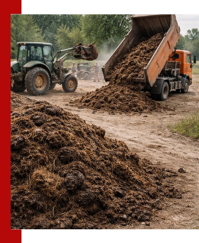 Доставка навоза самосвалами в Бугульме для сельхозпотребностей
